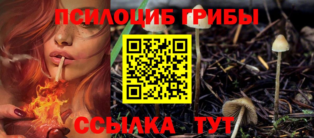 Галлюциногенные грибы мухоморы  Галлюциногенные грибы мицелий  хочу   Вход с VPN  Урус-Мартан 