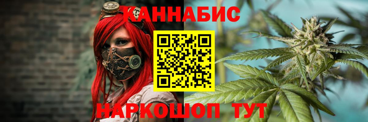 Канабис сатива Урус-Мартан